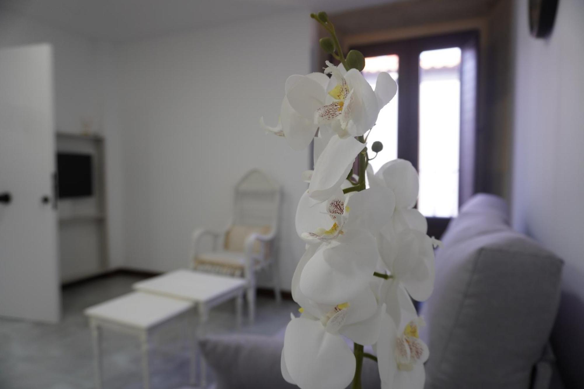 Apartamento Sanin 3 Lumbrales Luaran gambar